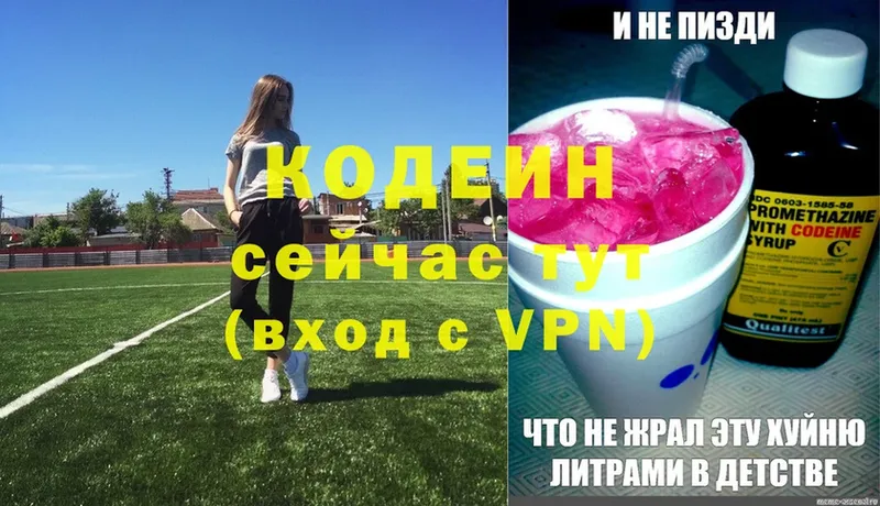 где купить наркоту  Калуга  Codein Purple Drank 